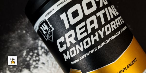 kreatin monohidrat